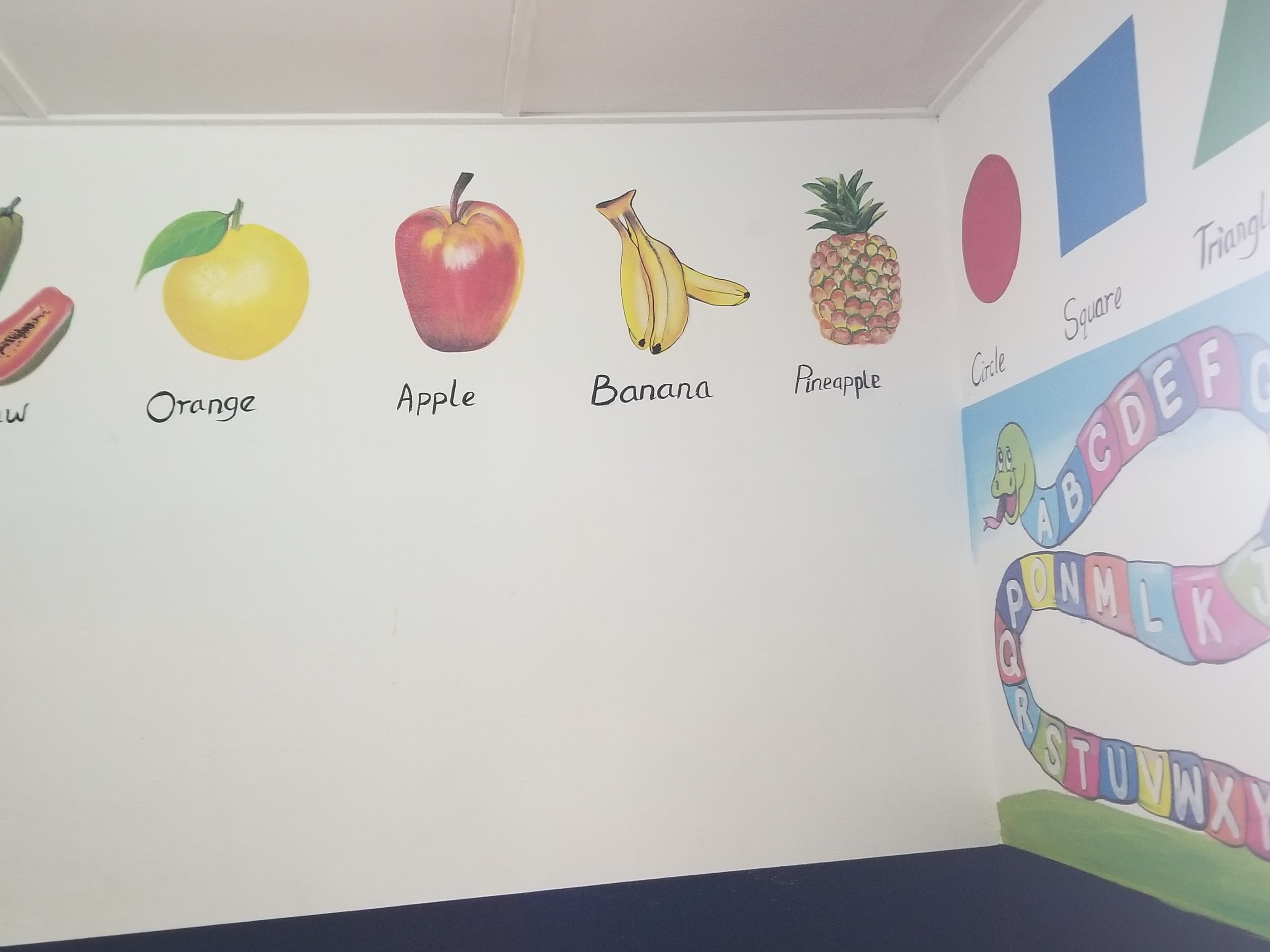 Classroom Teaching Activity